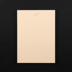 A5 NOTEPAD Letter paper ORANGE PALM