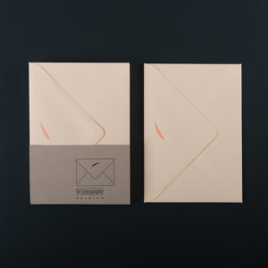 X 10 C6 ORANGE PALM ENVELOPES