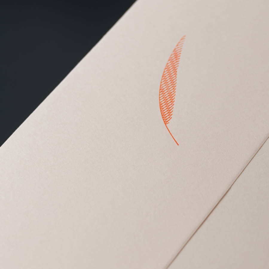 Paquet de 10 ENVELOPPES US PALME ORANGE
