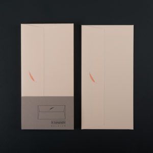 X 10 DL ORANGE PALM ENVELOPES