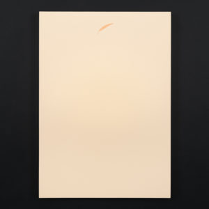 A4 NOTEPAD Letter paper ORANGE PALM