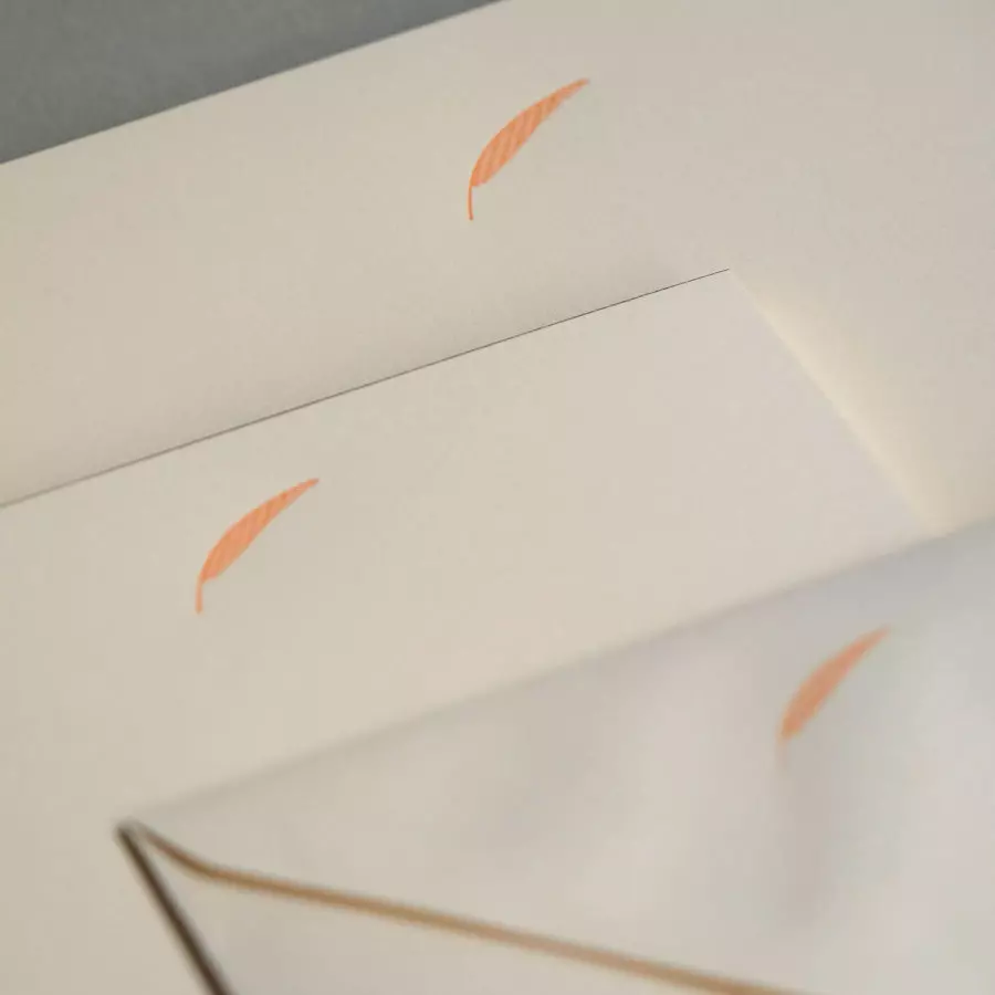 Paquet de 10 ENVELOPPES C6 PALME ORANGE