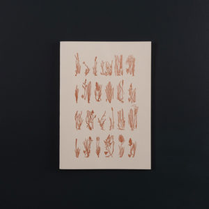 A5+ SOFT COVER NOTEBOOK Grasses