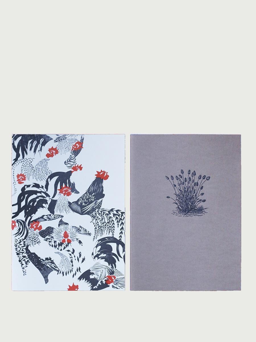 2 cahiers souples poules et