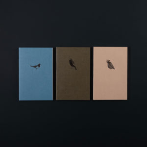 3 CAHIERS SOUPLES OISEAUX