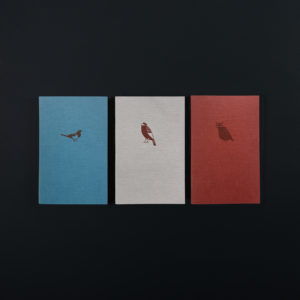 3 CAHIERS SOUPLES OISEAUX - cordyline