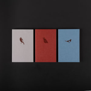 3 CAHIERS SOUPLES OISEAUX - cordyline
