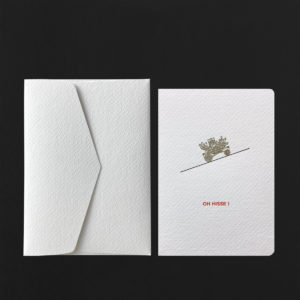 Carte postale OH HISSE + enveloppe neige