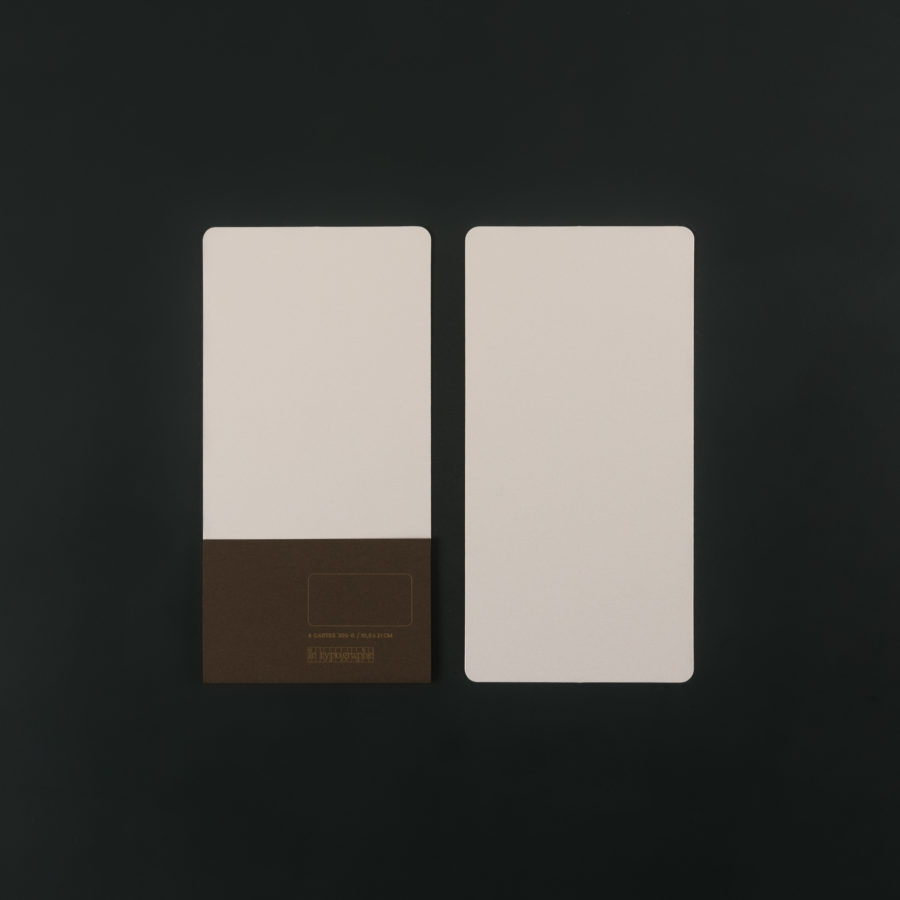 Pack of 4 DL CARDS (10.5x21 cm) - champagne colour