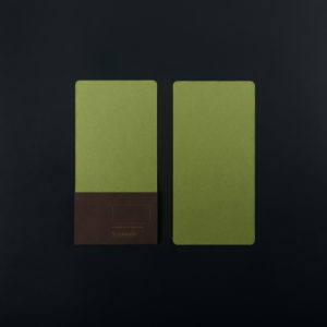 Pack of 4 DL CARDS (10.5x21 cm) - grass colour