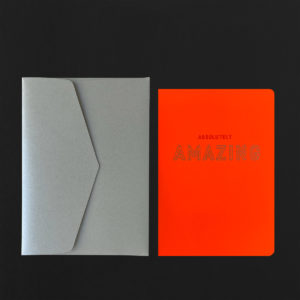 Carte postale ABSOLUTELY AMAZING + enveloppe silver
