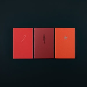 3 CAHIERS SOUPLES - sucre d'orge - carotte - étoile