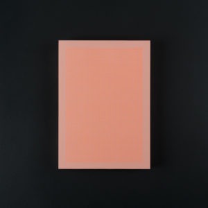 BLOC A5 QUADRILLE 6PTS orange fluo sur pamplemousse