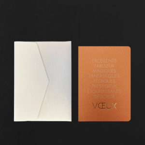 Carte postale EXCELLENTS FABULEUX... VOEUX cuivre + enveloppe champagne