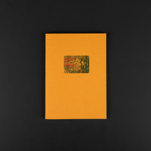 CAHIER SOUPLE A5+ Paysage désert