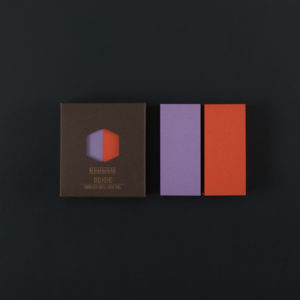 DUO MEMO / 2 NANO BLOCS NOTE glycine et mandarine