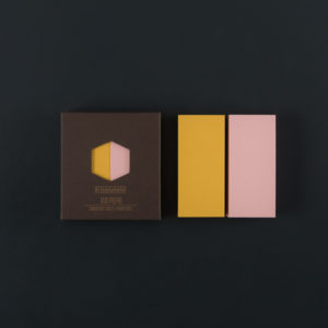 DUO MEMO / 2 NANO BLOCS NOTE camélia et banane