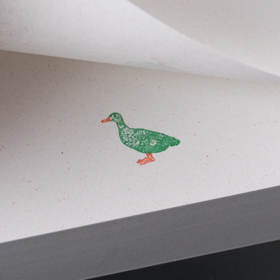 mega bloc B6 canard