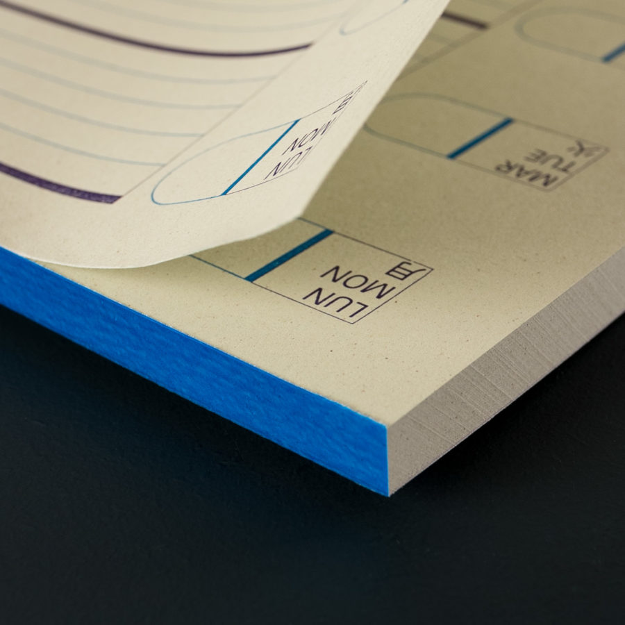 DESK DIARY VERTICAL violet and blue