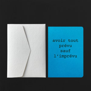 Carte AVOIR TOUT PREVU bleuet + env  neige