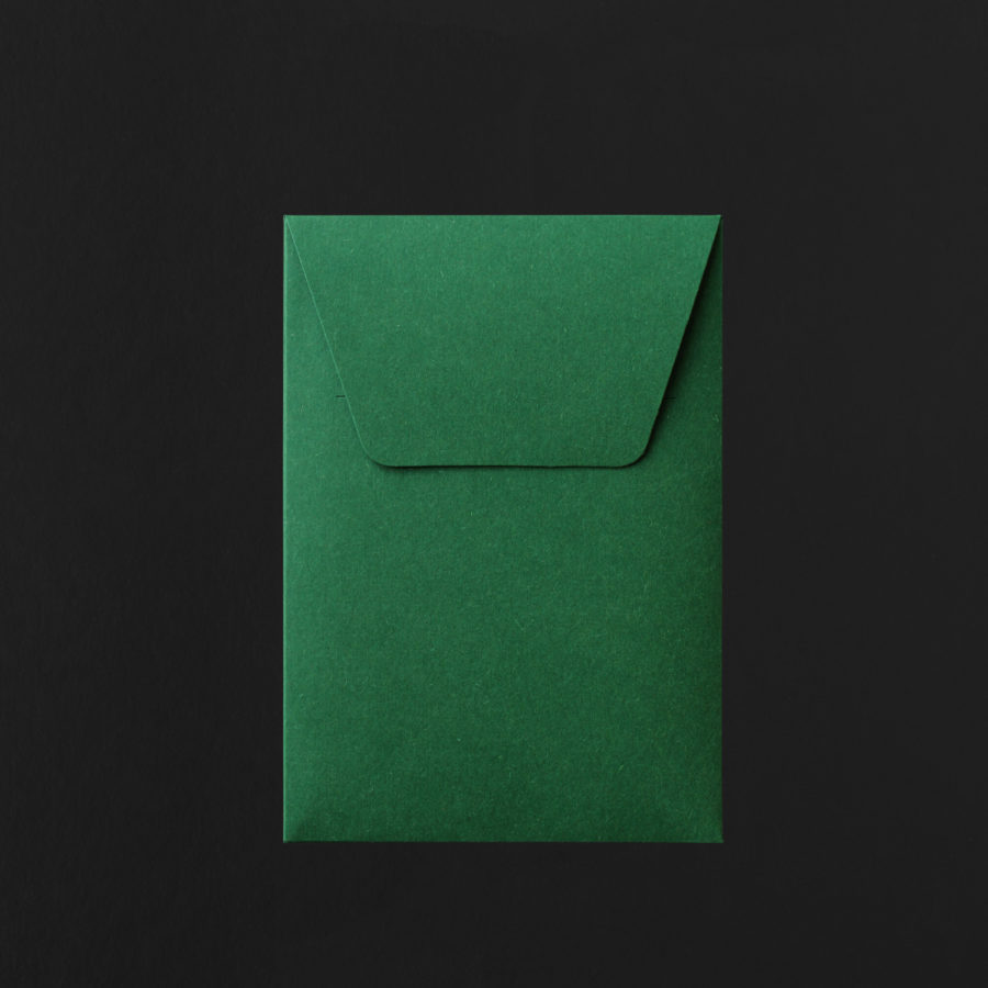 C6 POUCH ENVELOPE - fern