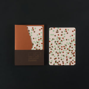 PACK of 3 A6 CARDS + 3 C6 ENVELOPES - MINT CONFETTI