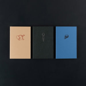 3 CAHIERS SOUPLES SQUELETTES