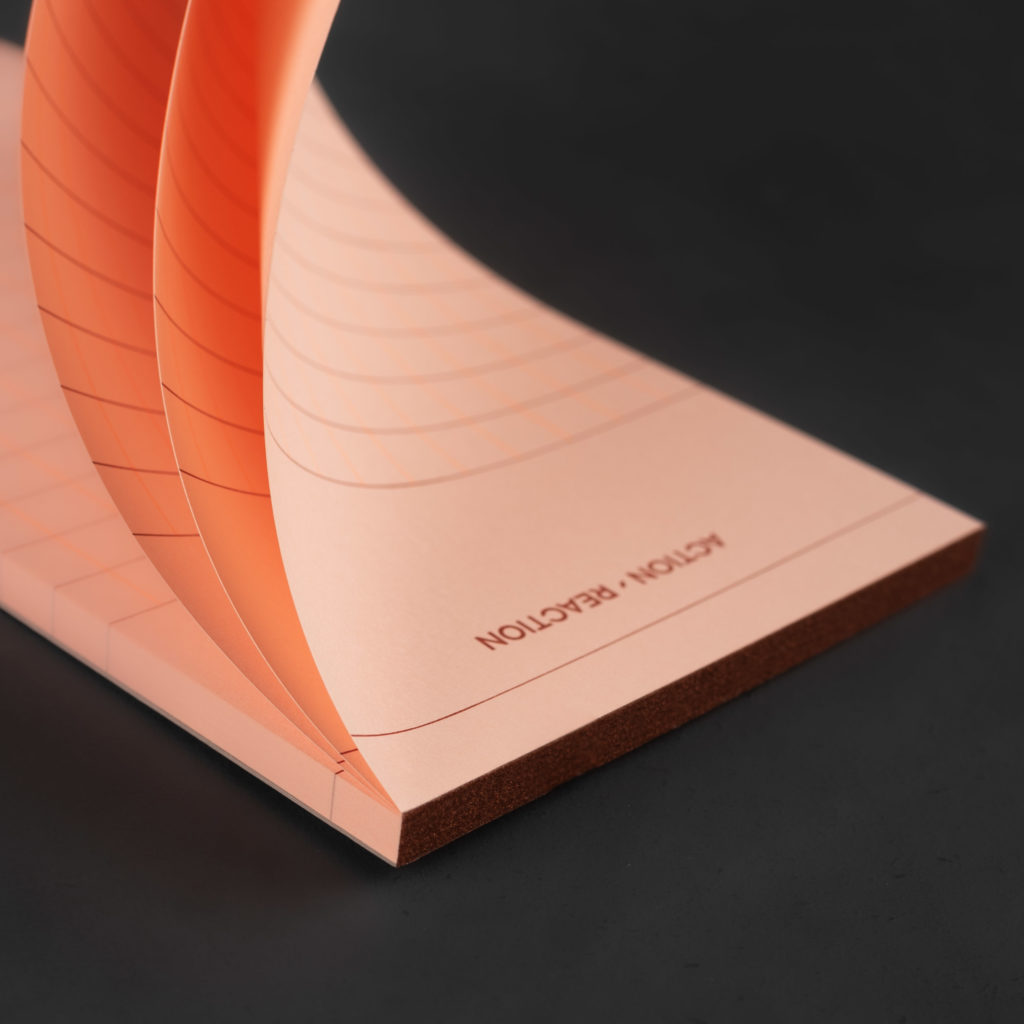 DL NOTEPAD ACTION REACTION grapefruit