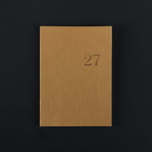 2027 A5+ monthly DIARY- pyrite