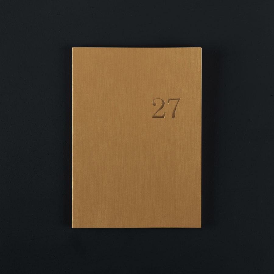 2027 A5+ monthly DIARY- pyrite