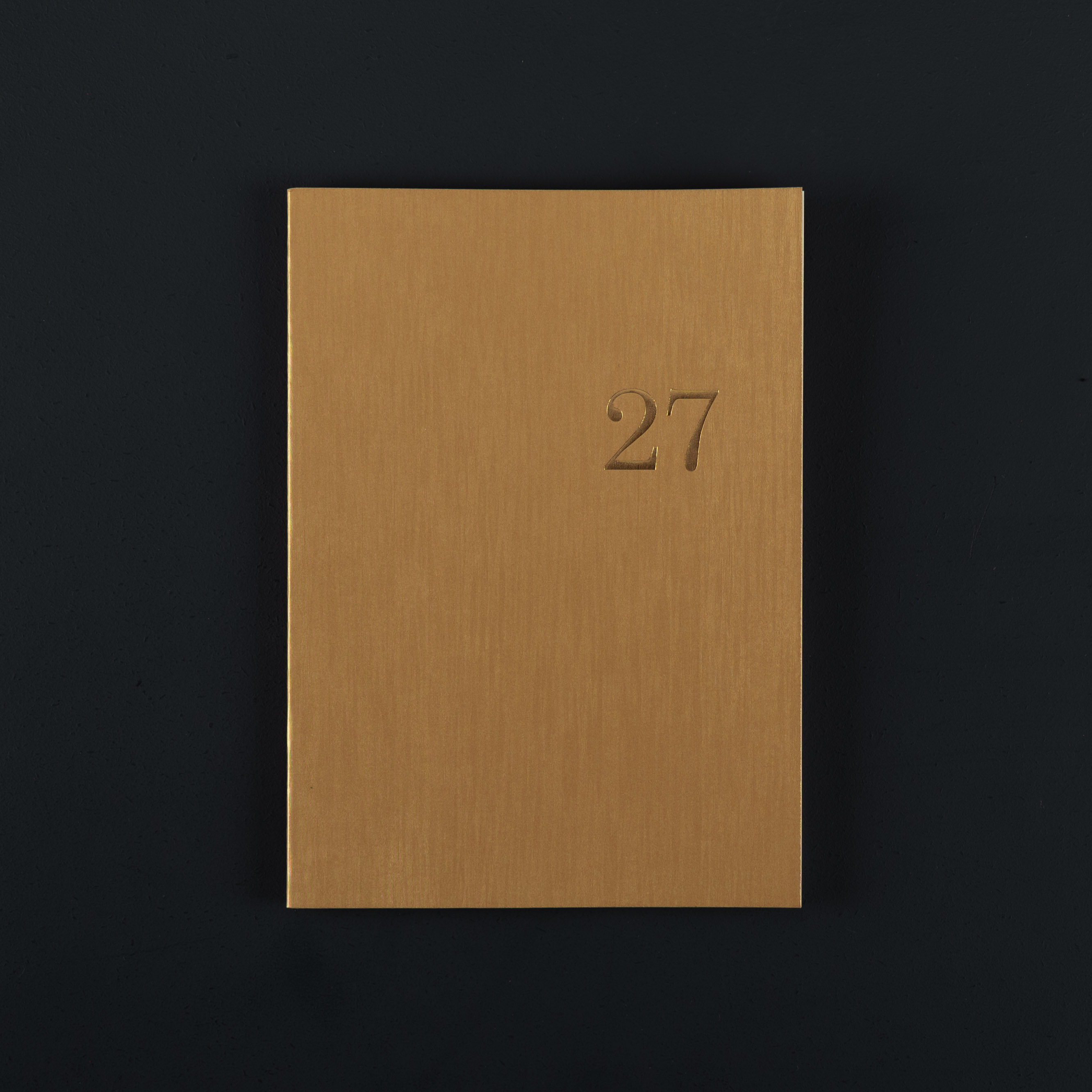 2027 A5+ monthly DIARY- pyrite