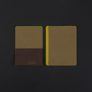Pack of 5 two-tones CARDS - brown croco and anise